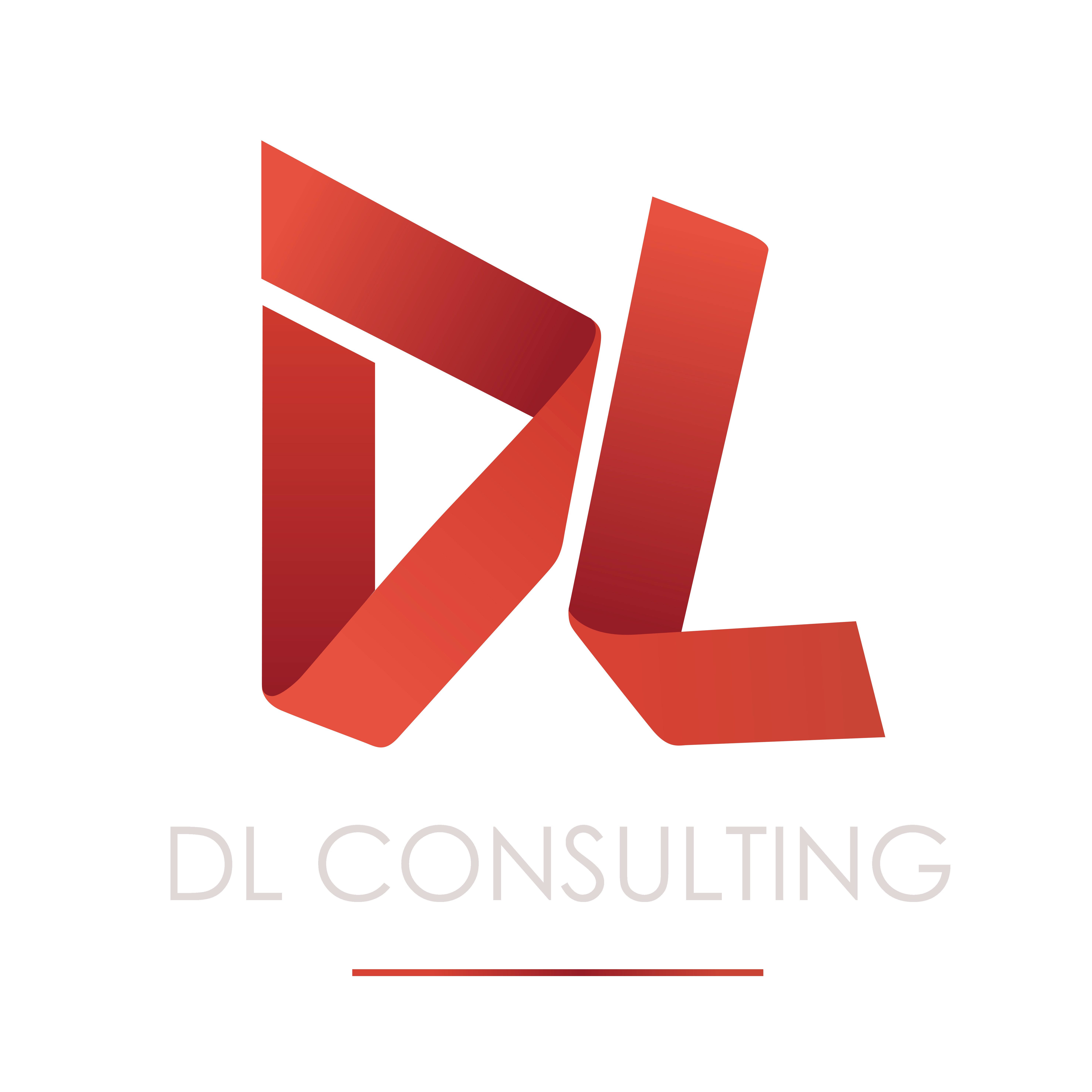 DL Consulting